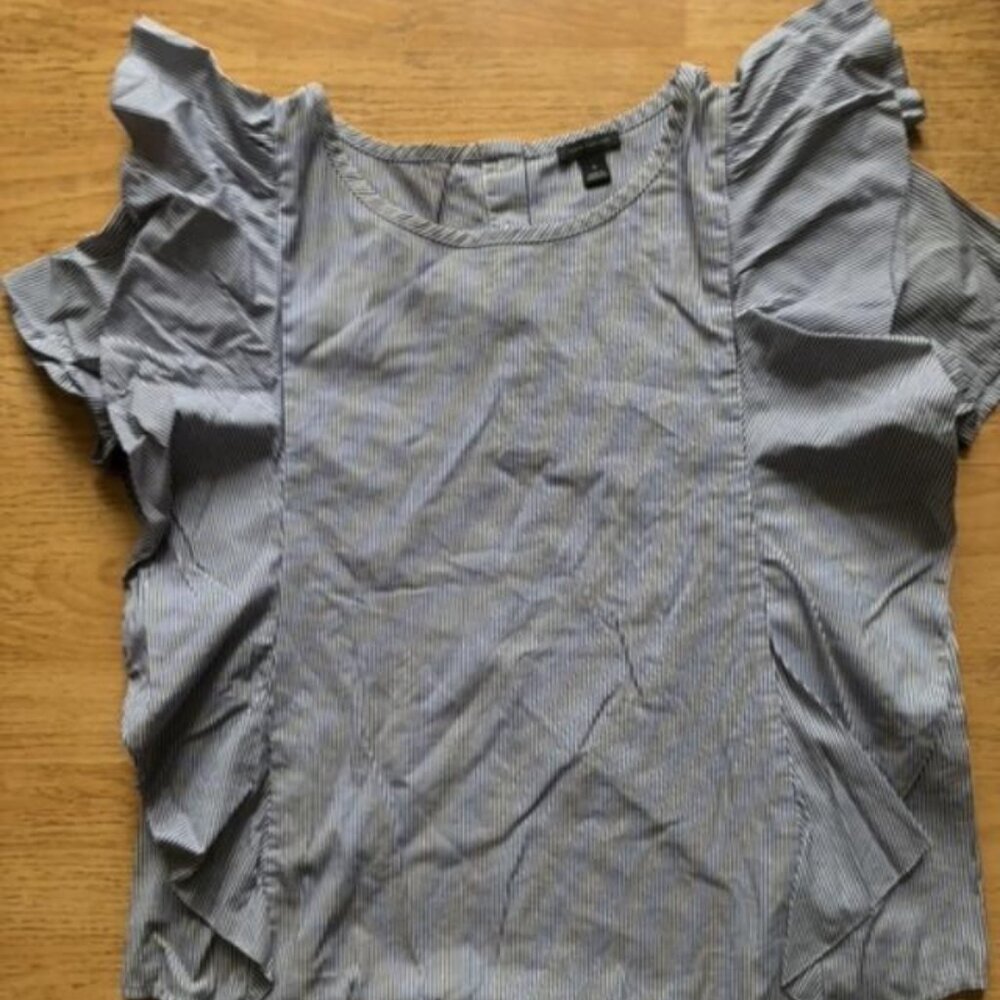 Ann Taylor Blue and White Thin Stripe Blouse